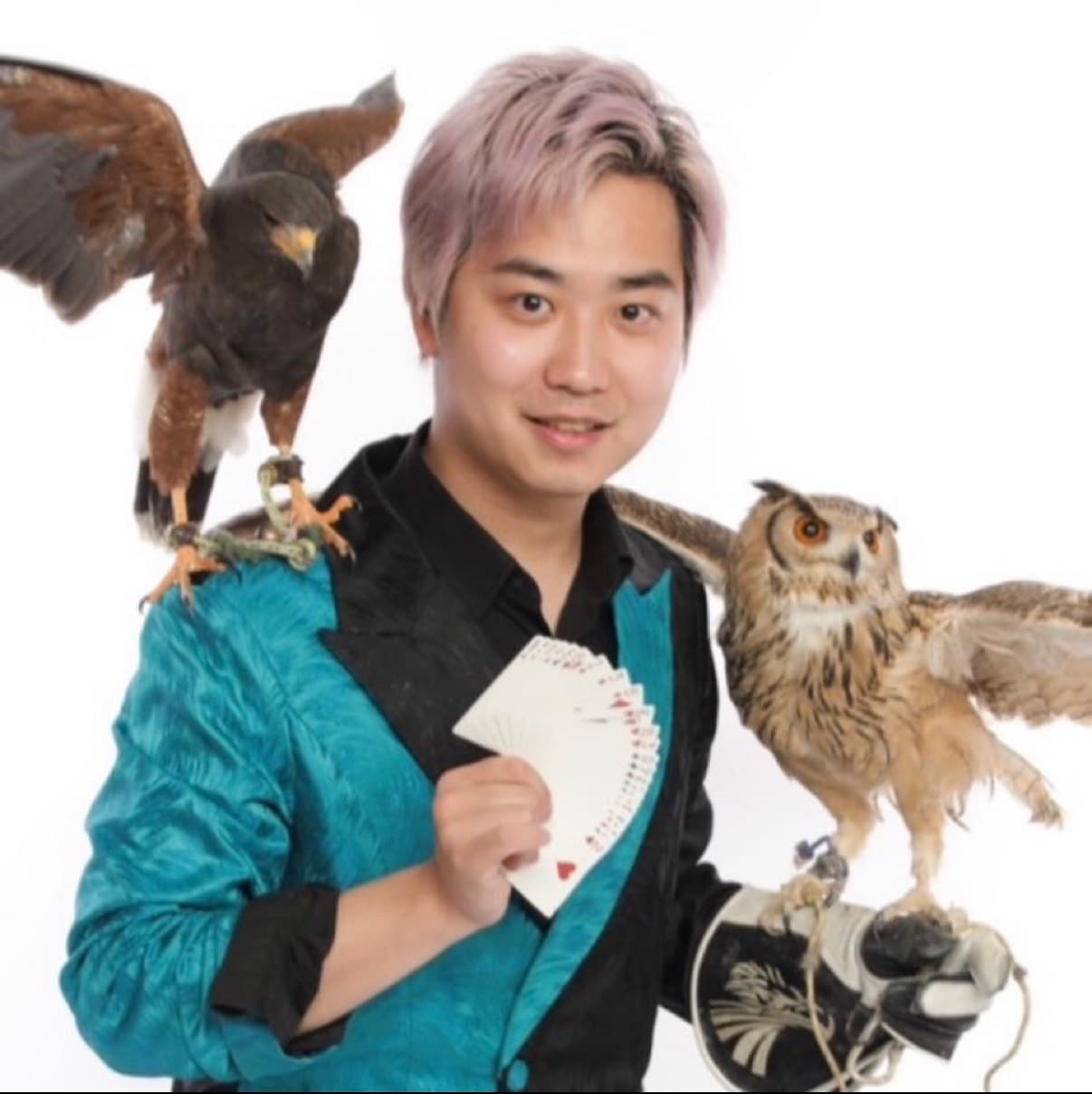 株式会社Magic Dream Factoryのロゴ・写真